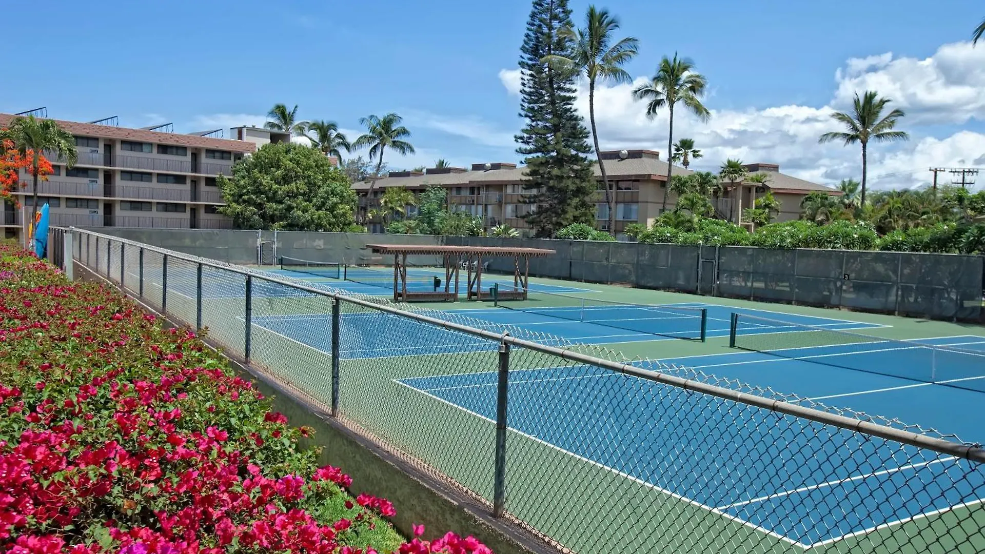 Kamaole Sands 4-406 - Mch Kihei 0*,  United States